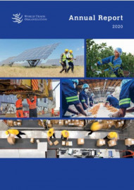 WTO Annual Report 2020